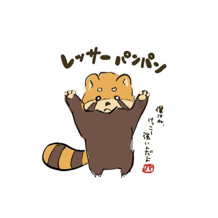 レッサーパンダ